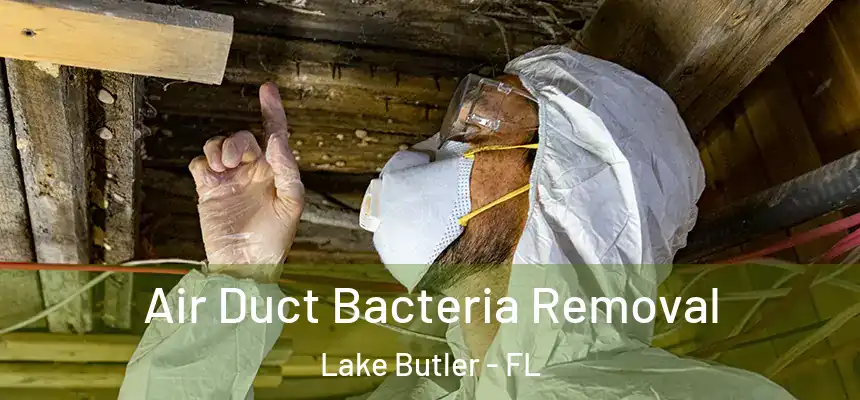  Air Duct Bacteria Removal Lake Butler - FL