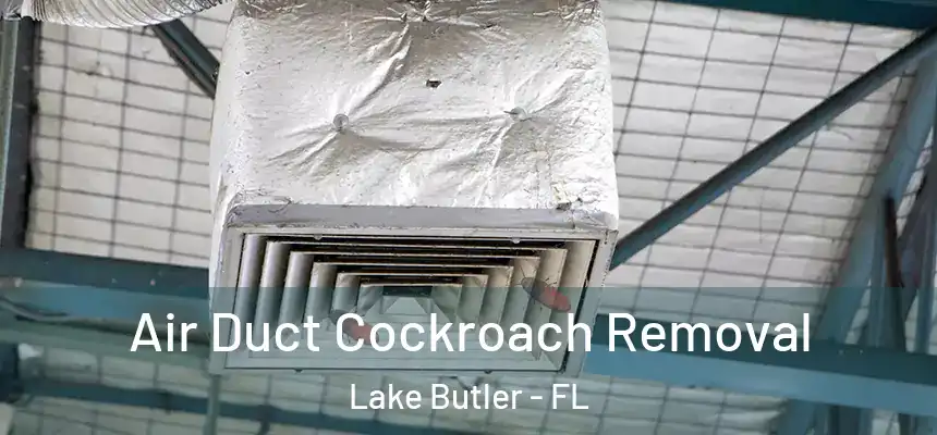  Air Duct Cockroach Removal Lake Butler - FL