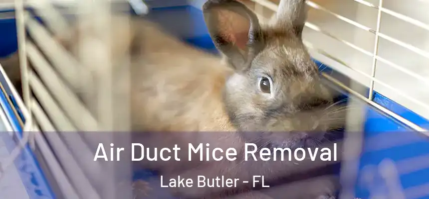  Air Duct Mice Removal Lake Butler - FL