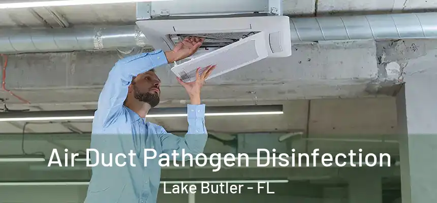  Air Duct Pathogen Disinfection Lake Butler - FL