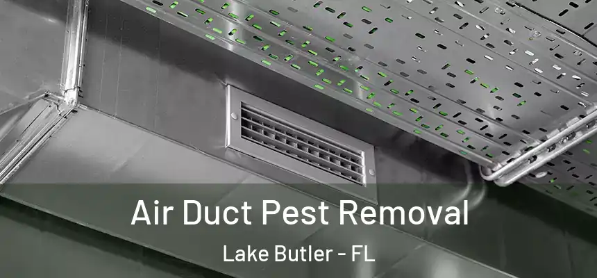 Air Duct Pest Removal Lake Butler - FL