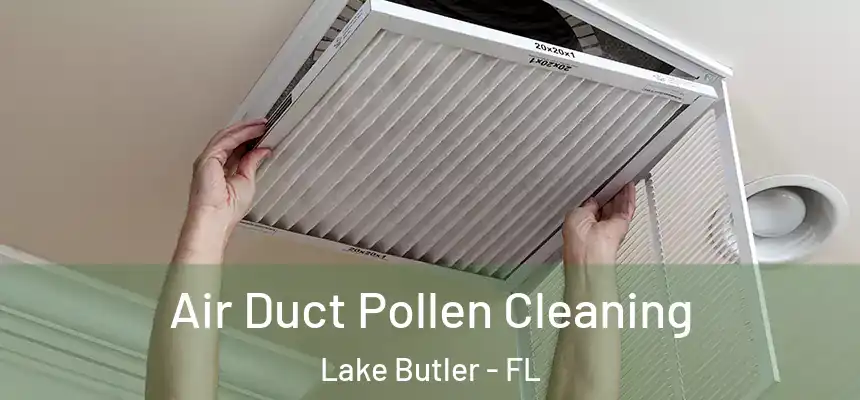 Air Duct Pollen Cleaning Lake Butler - FL