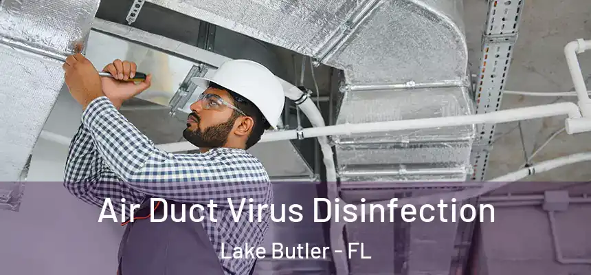  Air Duct Virus Disinfection Lake Butler - FL