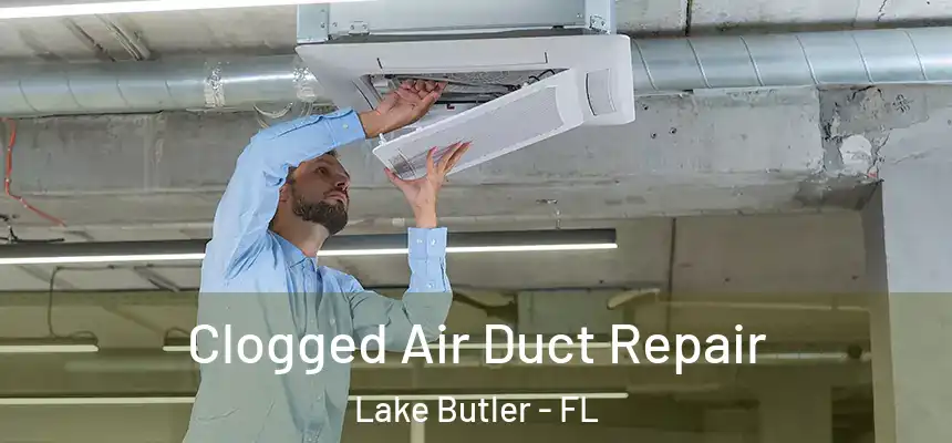  Clogged Air Duct Repair Lake Butler - FL