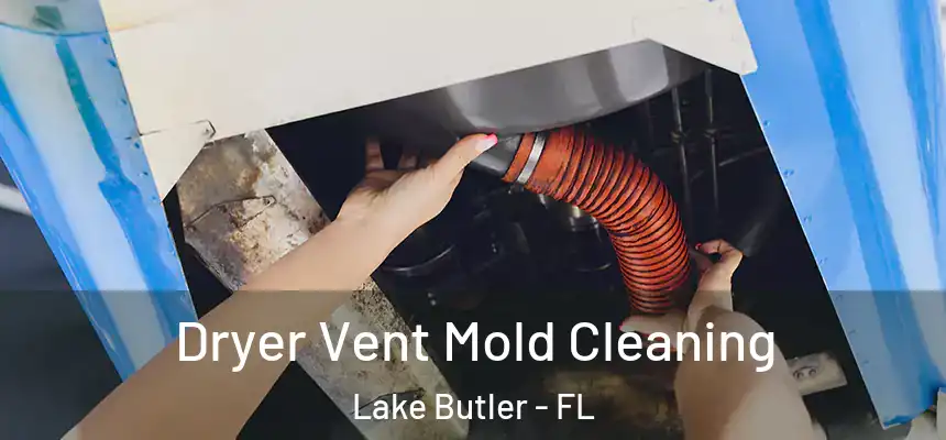  Dryer Vent Mold Cleaning Lake Butler - FL