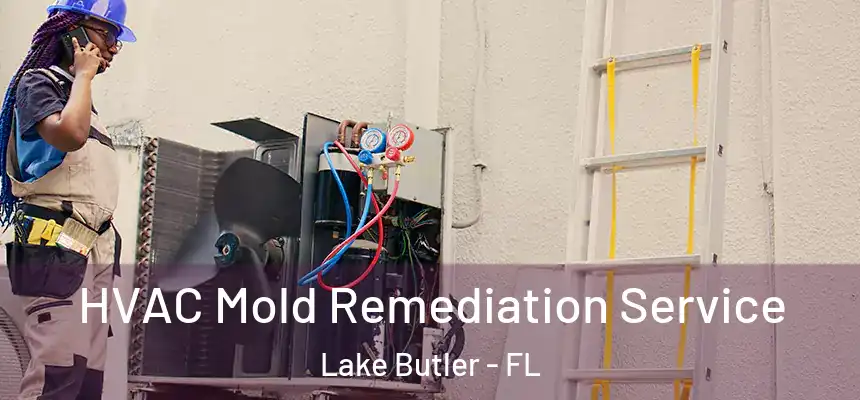  HVAC Mold Remediation Service Lake Butler - FL