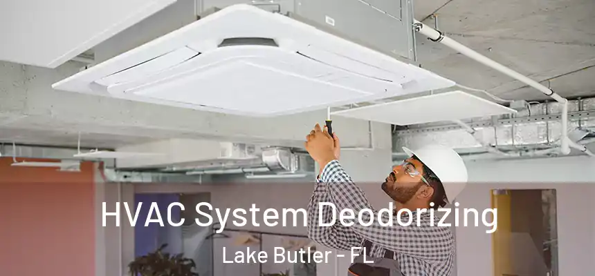 HVAC System Deodorizing Lake Butler - FL