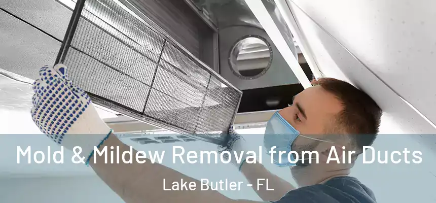 Mold & Mildew Removal from Air Ducts Lake Butler - FL