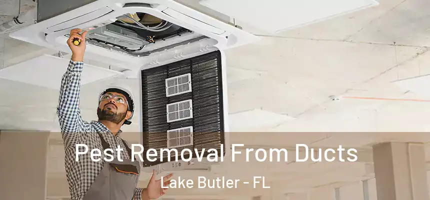  Pest Removal From Ducts Lake Butler - FL