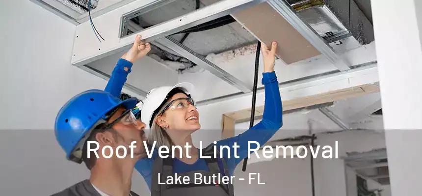 Roof Vent Lint Removal Lake Butler - FL