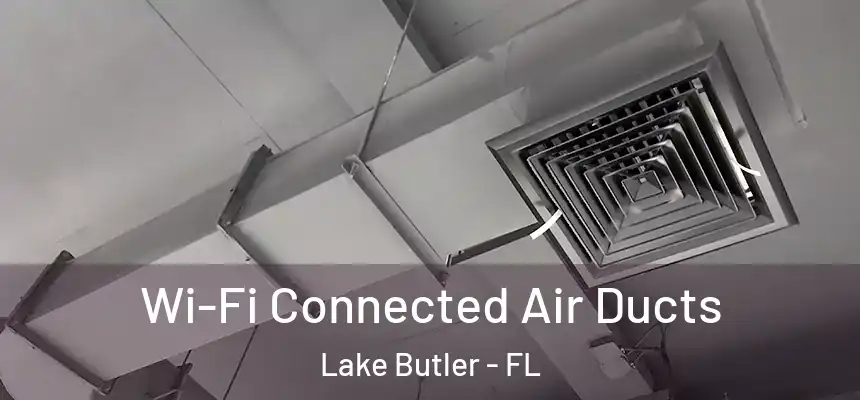 Wi-Fi Connected Air Ducts Lake Butler - FL